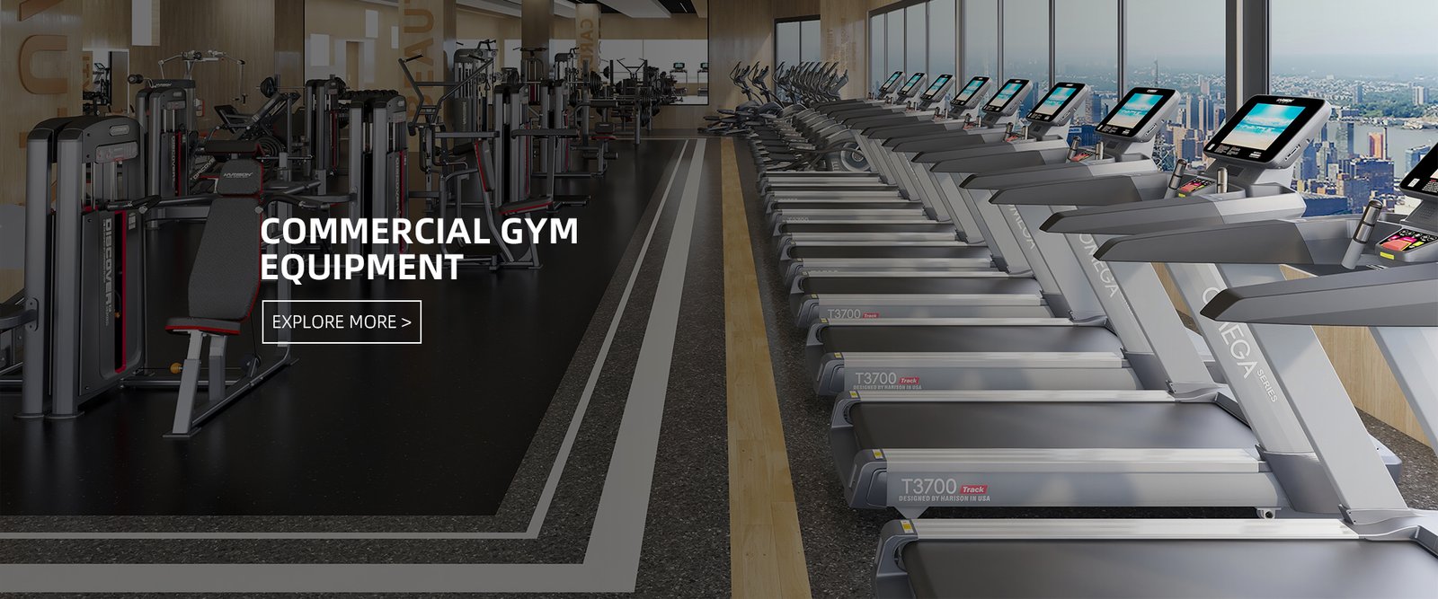 commercial gym